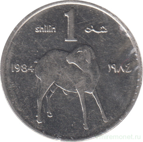 Монета. Сомали. 1 шиллинг 1984 год.