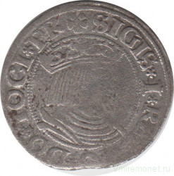 Монета. Польша. Грош Гданьский 1531 год. Сигизмунд I Старый.