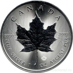 Монета. Канада. 5 долларов 2024 год. Кленовый лист.