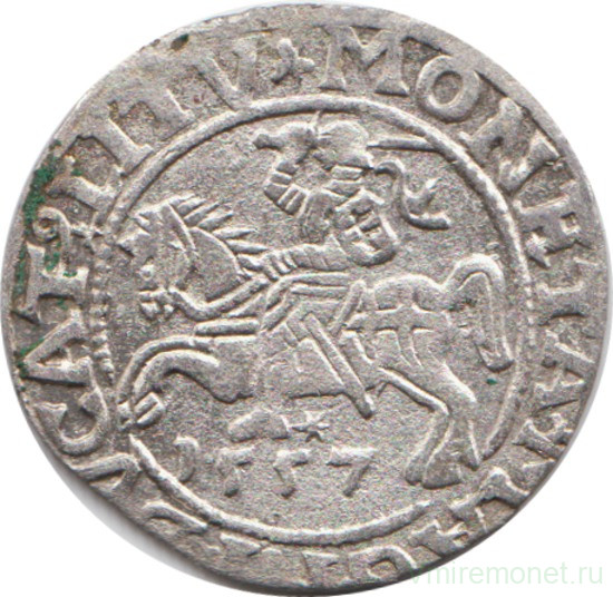 Монета. Литва. Полугрош 1557 год. Сигизмунд II Август.