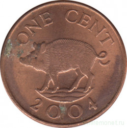 Монета. Бермудские острова. 1 цент 2004 год.