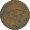 Монета. Мальдивские острова. 50 лари 1984 (1404) год. ав.