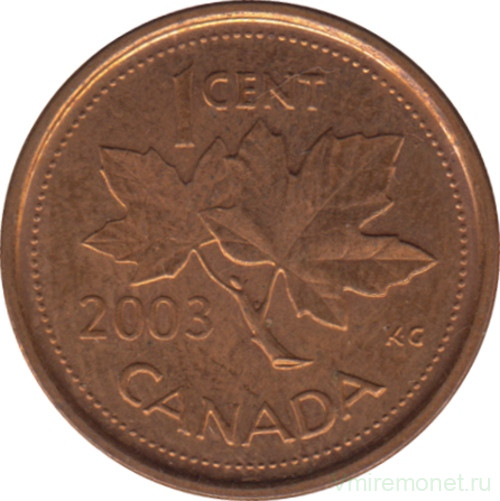 Монета. Канада. 1 цент 2003 год. Сталь покрытая медью. Новый тип. (P).