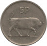 Аверс. Монета. Ирландия. 5 пенсов 1971 год.