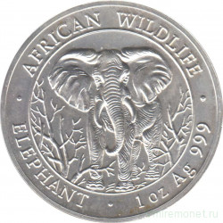 Монета. Сомали. 1000 шиллингов 2004 год. Слон.