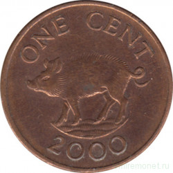 Монета. Бермудские острова. 1 цент 2000 год.