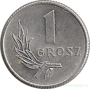 Монета. Польша. 1 грош 1949 год.