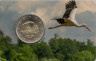 Монета. Латвия. 2 евро 2015 год. Чёрный аист. (блистер, коинкарта). ав