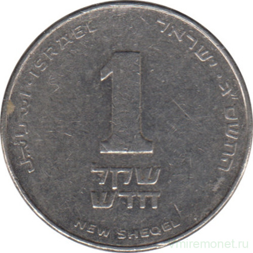 Монета. Израиль. 1 новый шекель 2003 (5763) год.