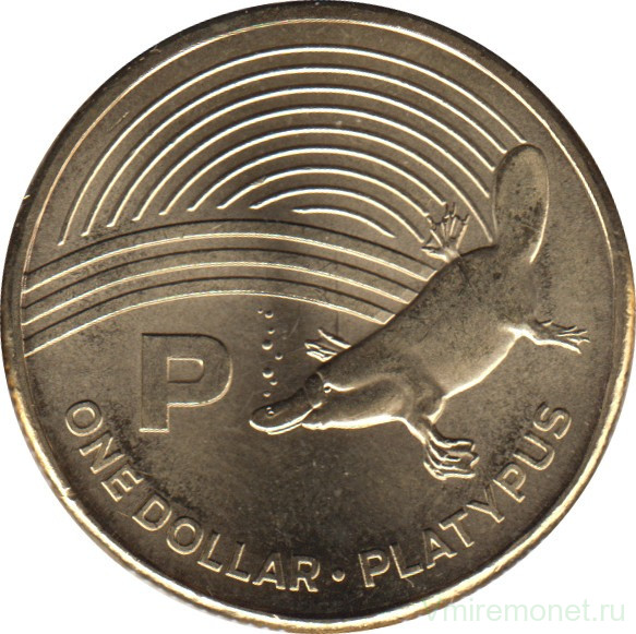 2019 долларов в рублях. Зверь с австралийской монеты вторая буква п. Доллар 2019 года цена в рублях.
