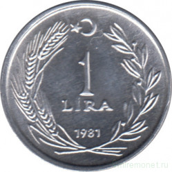Монета. Турция. 1 лира 1981 год.