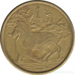 Монета. Ботсвана. 1 пула 2013 год.