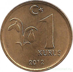 Монета. Турция. 1 куруш 2012 год.