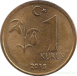 Монета. Турция. 1 куруш 2015 год.