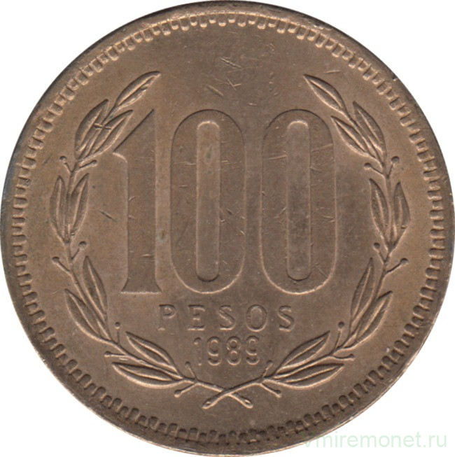 Монета. Чили. 100 песо 1989 год.