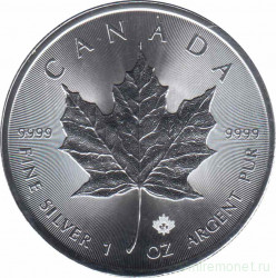 Монета. Канада. 5 долларов 2018 год. Кленовый лист.