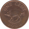 Монета. Бермудские острова. 1 цент 1994 год. ав.