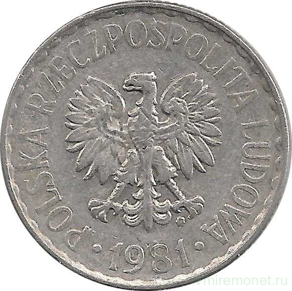 Монета. Польша. 1 злотый 1981 год.