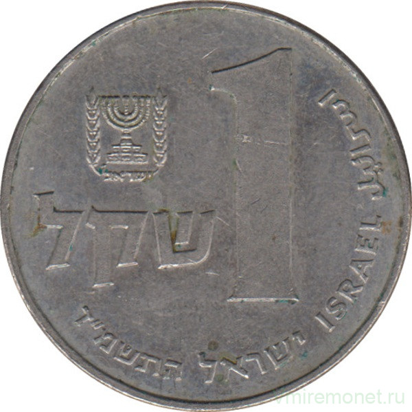 Монета. Израиль. 1 шекель 1984 (5744) год.