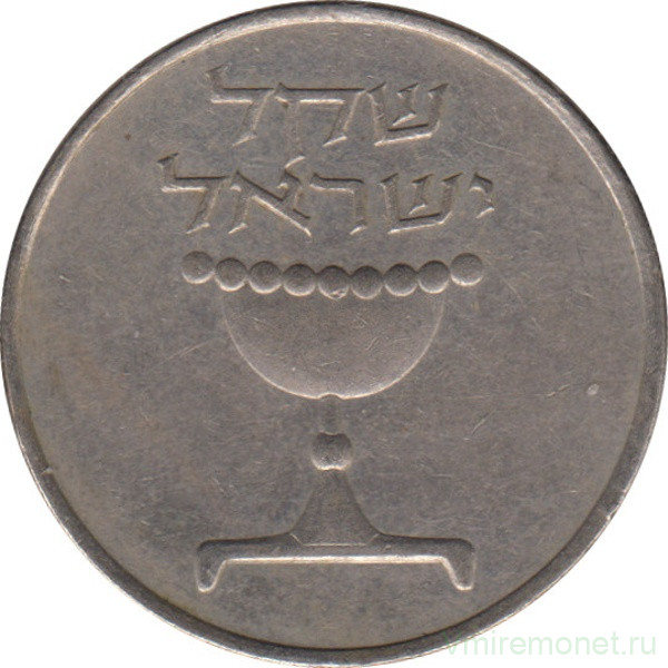 1 Шекель монета. 1 Шекель 1981 год. 1 Шекель в рублях. Шекель значок. 30 шекелей