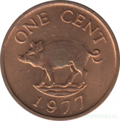 Монета. Бермудские острова. 1 цент 1977 год.
