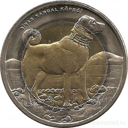 Монета. Турция. 1 лира 2010 год. Фауна Турции - собака.