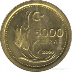 Монета. Турция. 5000 лир 2000 год.