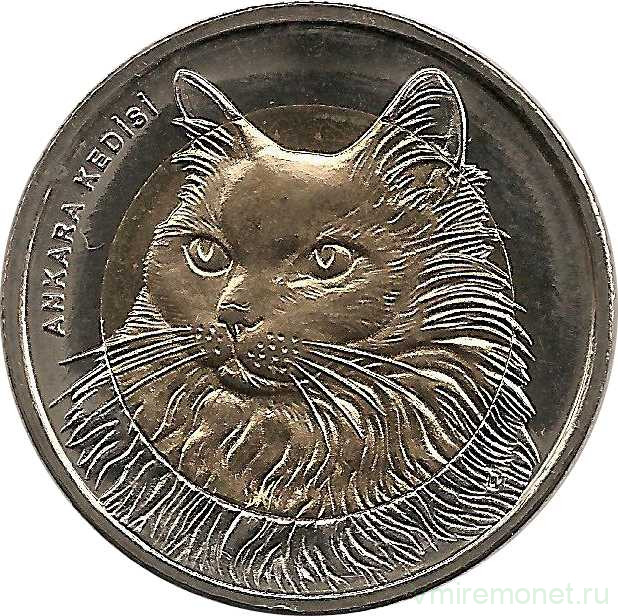 Монета. Турция. 1 лира 2010 год. Фауна Турции - кошка.