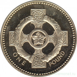 Монета. Великобритания. 1 фунт 2001 год. Пруф.