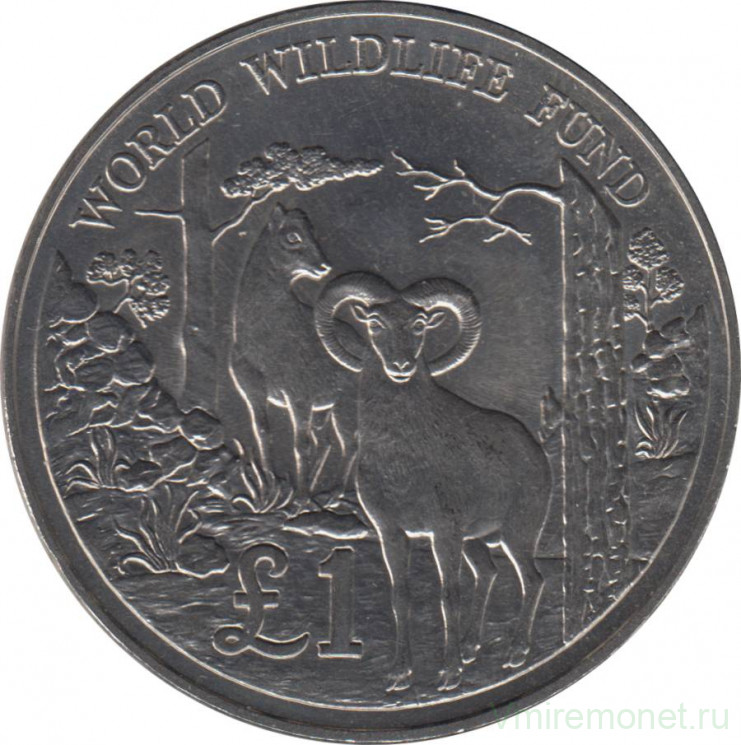 Монета. Кипр. 1 фунт 1986 год. 25 лет Всемирному фонду дикой природы.