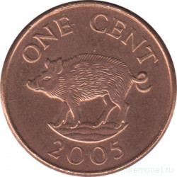 Монета. Бермудские острова. 1 цент 2005 год.