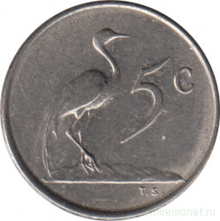 Монета. Южно-Африканская республика (ЮАР). 5 центов 1965 год. Аверс - "SUID-AFRIKA".