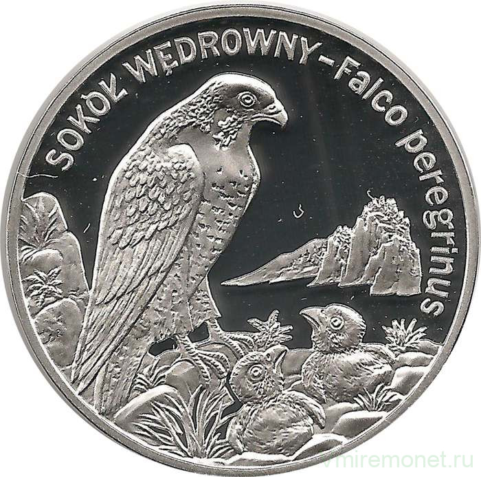 Монета. Польша. 20 злотых 2008 год. Сокол-сапсан.