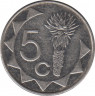 Монета. Намибия. 5 центов 2012 год. рев.
