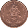 Монета. Багамские острова. 1 цент 2009 год. ав.