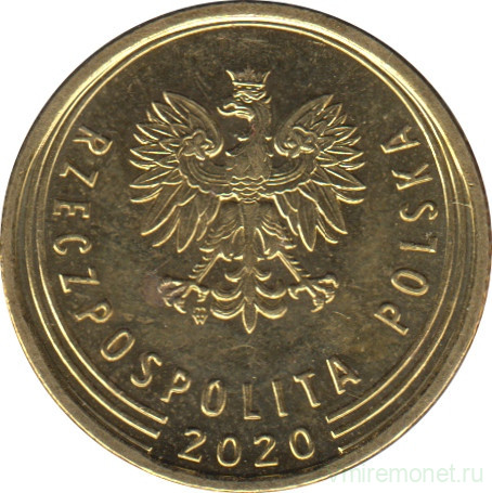 Монета. Польша. 5 грошей 2020 год.