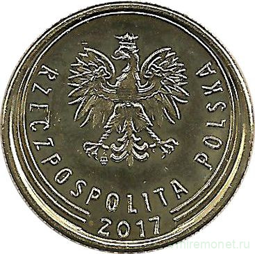 Монета. Польша. 1 грош 2017 год.