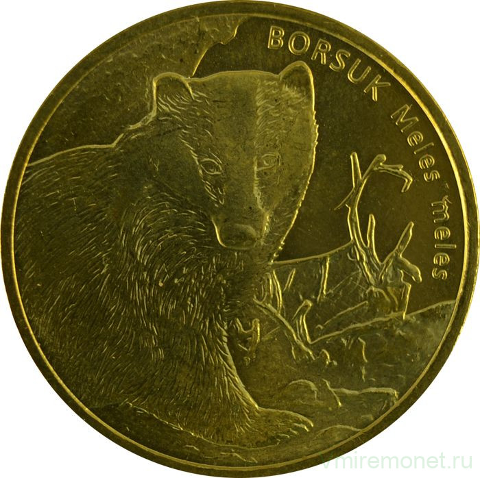Монета. Польша. 2 злотых 2011 год. Европейский барсук.