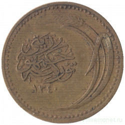 Монета. Турция. 100 пара 1924 (1340) год.
