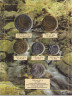 Монеты. Финляндия. Набор разменных монет в буклете. 1993 год. В буклете. рев.