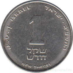 Монета. Израиль. 1 новый шекель 2013 (5773) год.