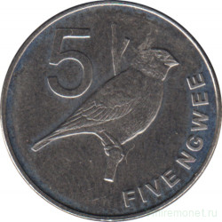 Монета. Замбия. 5 нгве 2014 год.