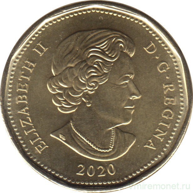 Монета. Канада. 1 доллар 2020 год.