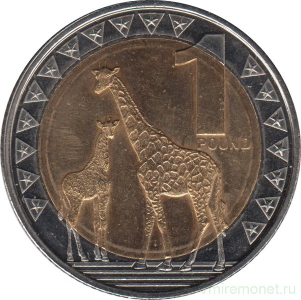 Монета. Южный Судан. Набор 2 штуки. 1 и 2 фунта 2015 год.