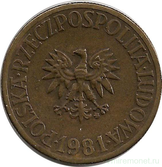 Монета. Польша. 5 злотых 1981 год.