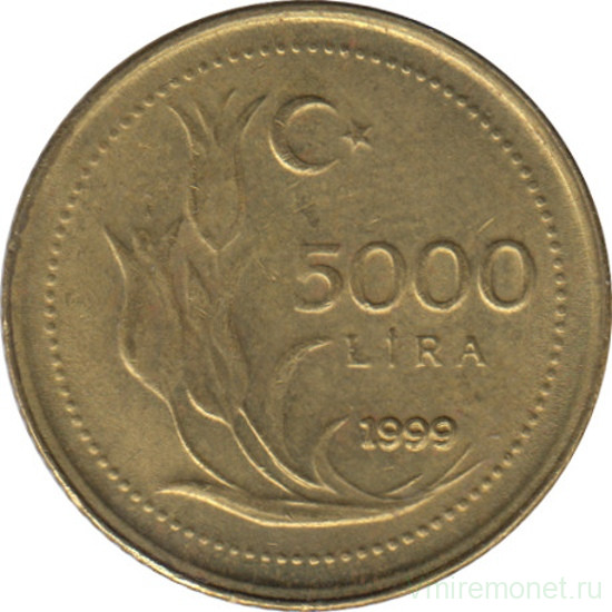 Монета. Турция. 5000 лир 1999 год.
