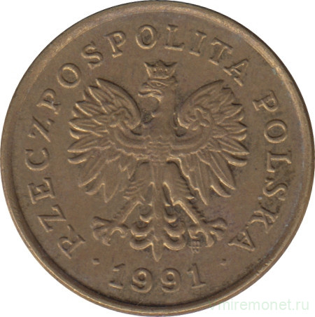Монета. Польша. 5 грошей 1991 год.