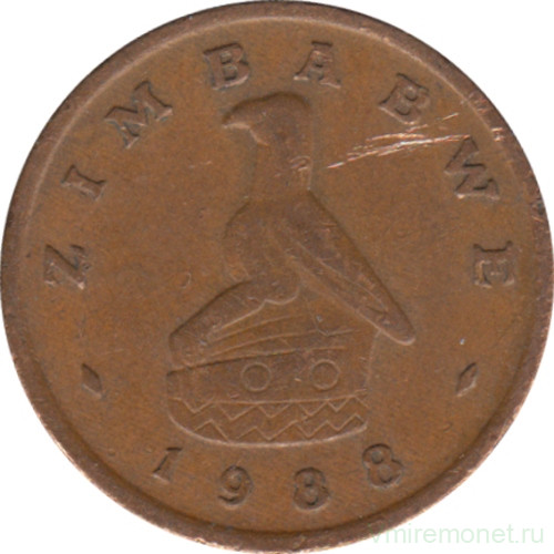 Монета. Зимбабве. 1 цент 1988 год.