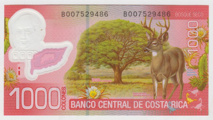 Банкнота. Коста-Рика. 1000 колонов 2013 год.