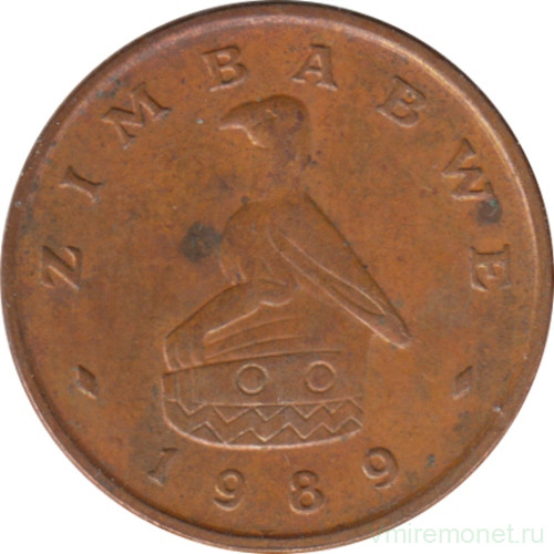 Монета. Зимбабве. 1 цент 1989 год.